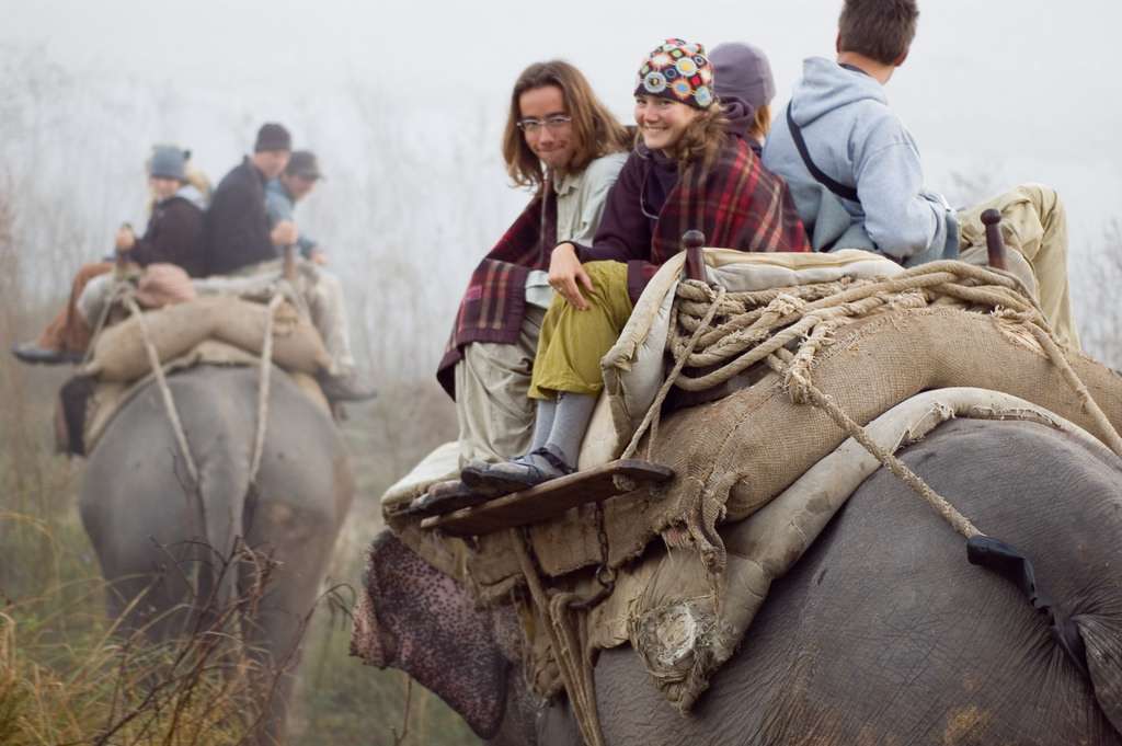 Elephant Safari Package