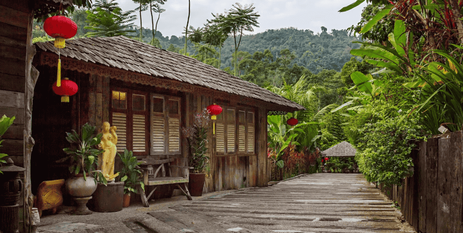 Fig Tree Hill Resort