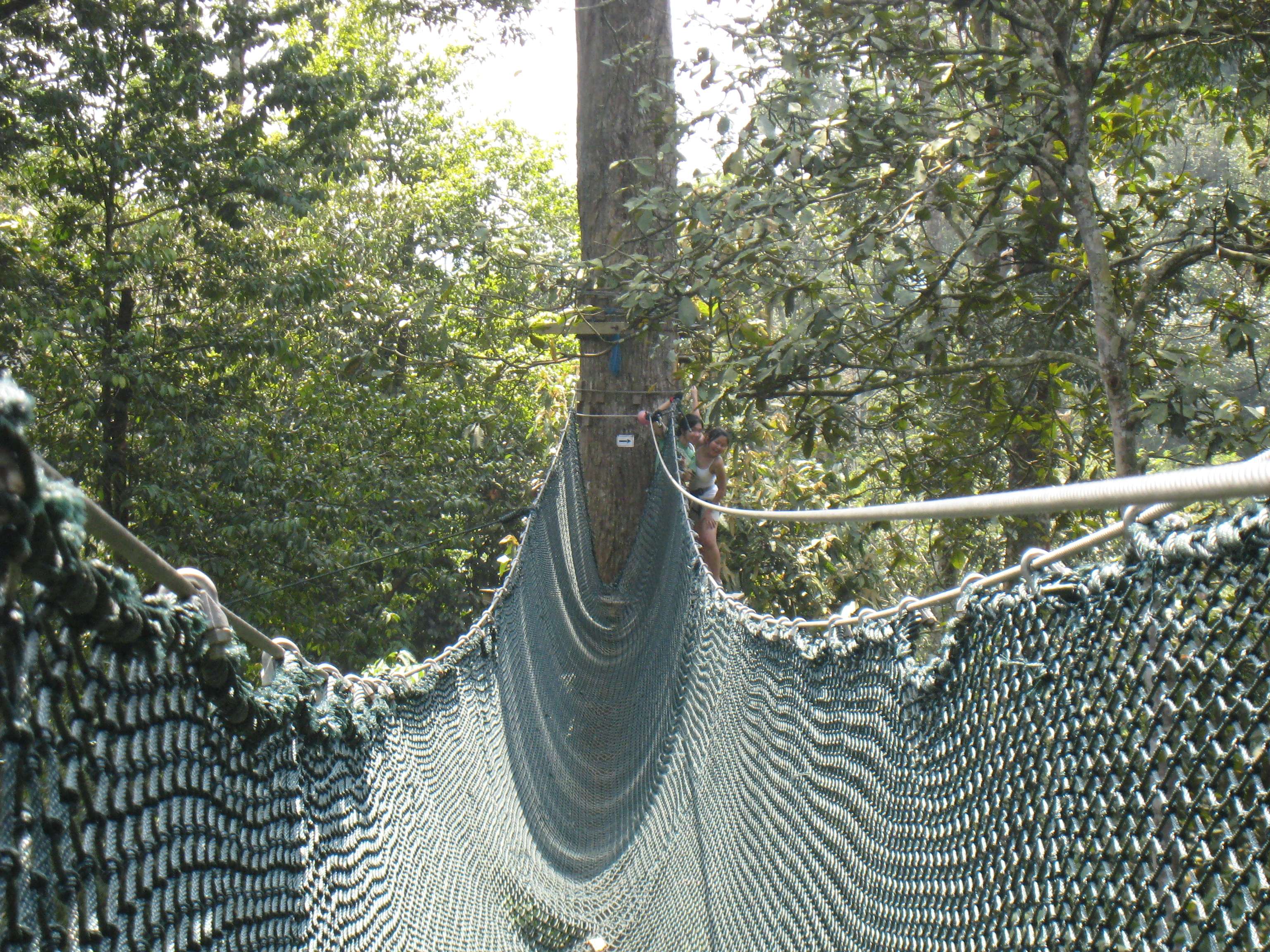 Skytrex Adventure, Selangor