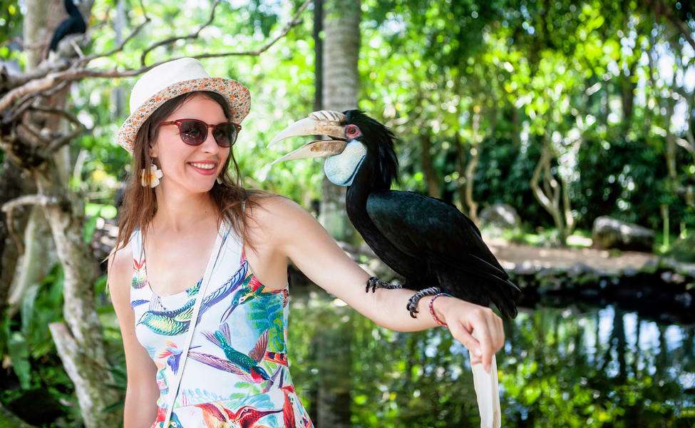 Bali Bird Park