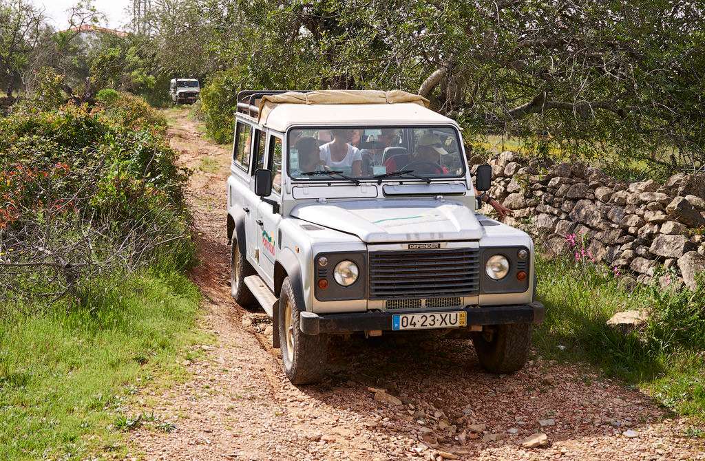 Jeep Safari