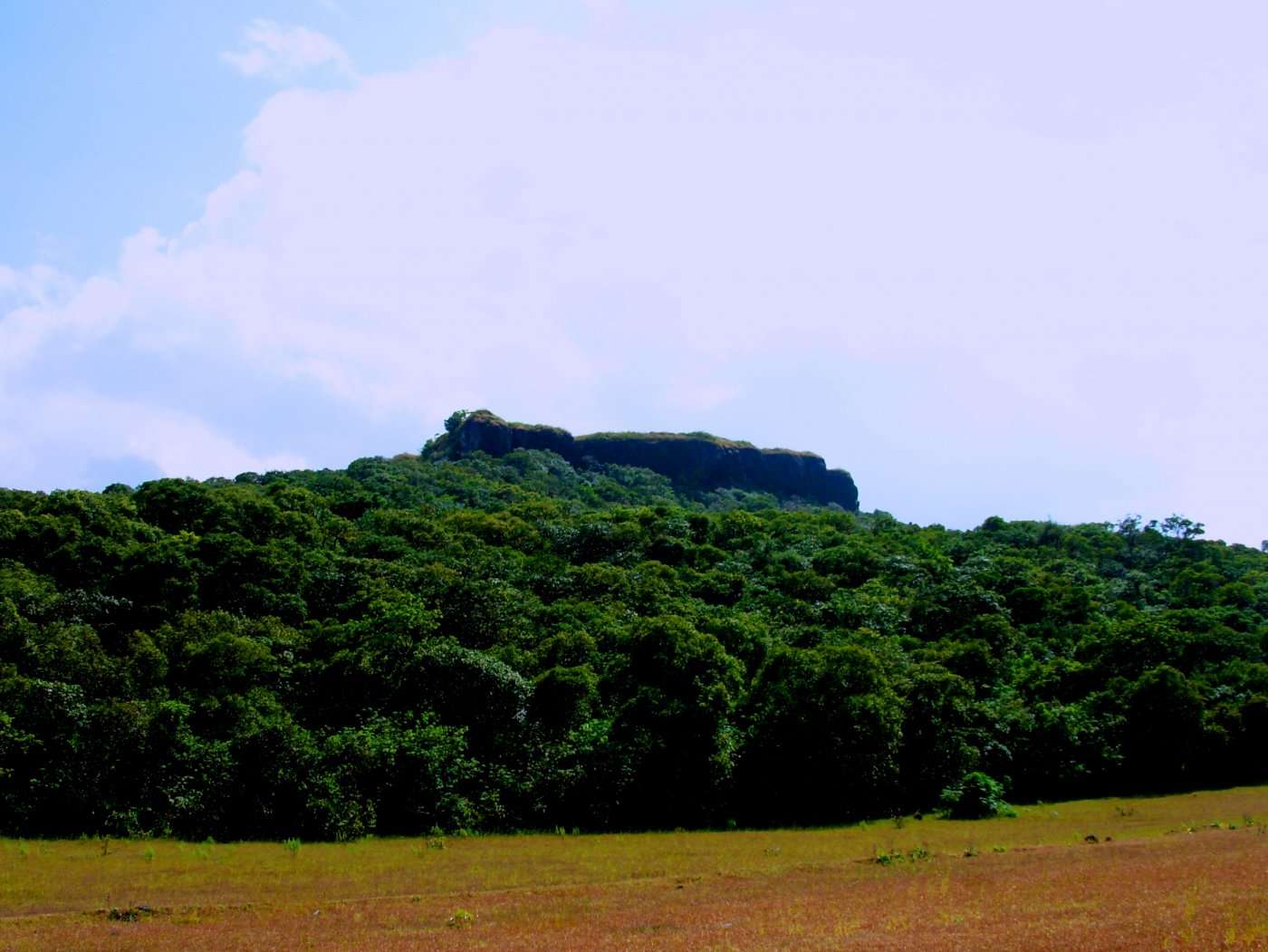 Kamalgad Fort