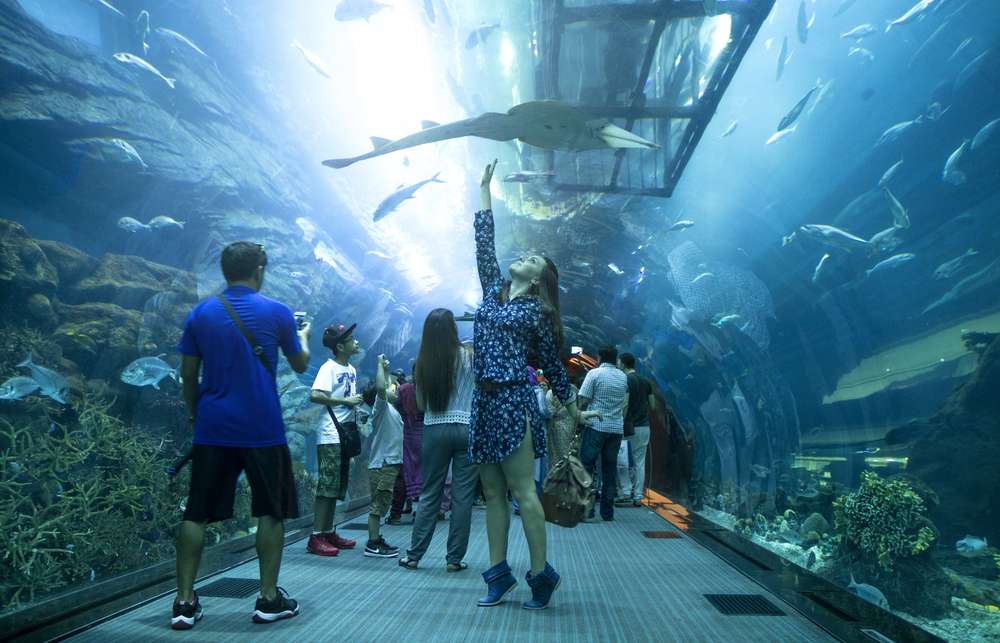 Dubai Aquarium & Underwater Zoo Combo, Get 20% off