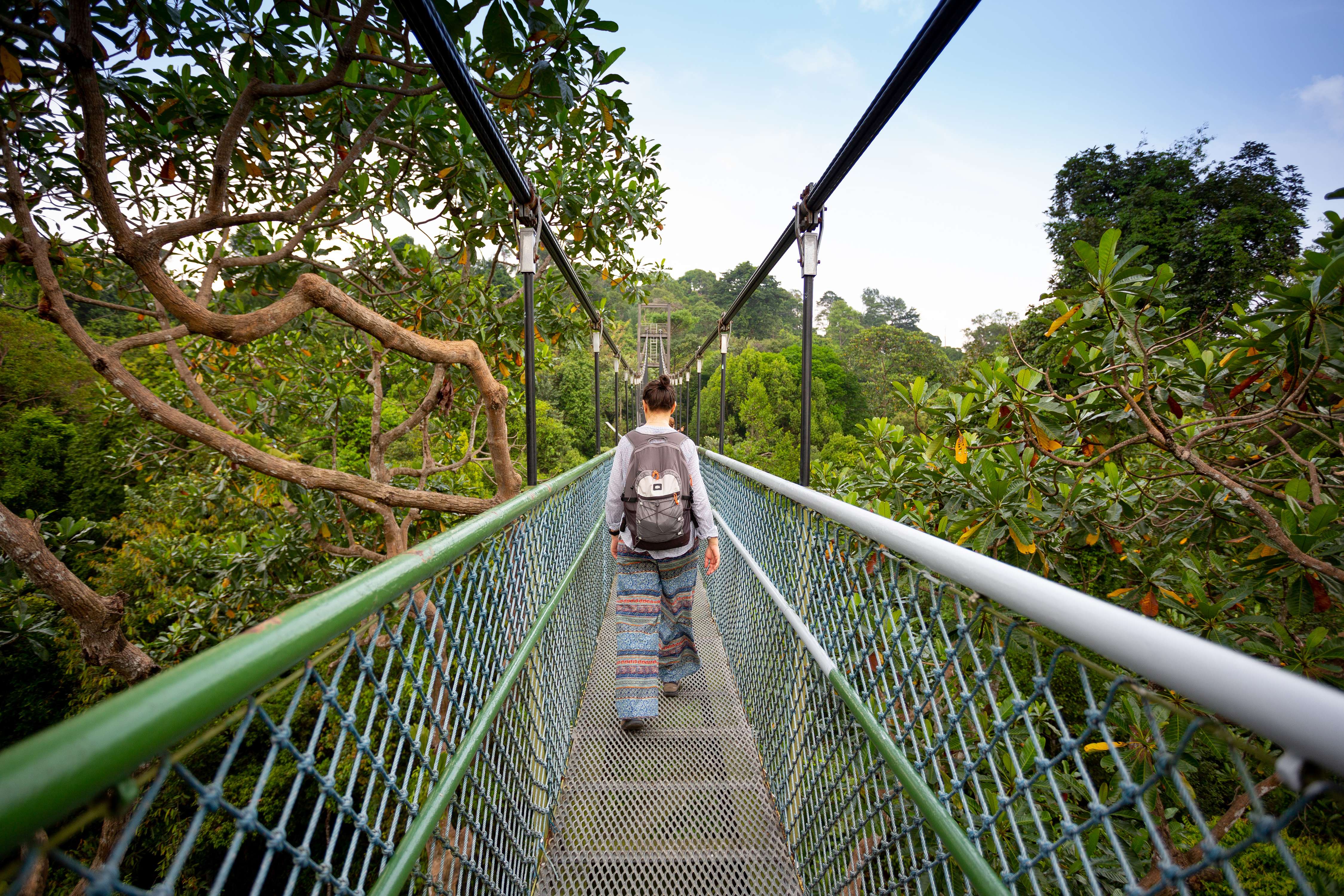 20 Best Trails for Hiking in Singapore - Paths to Explore!