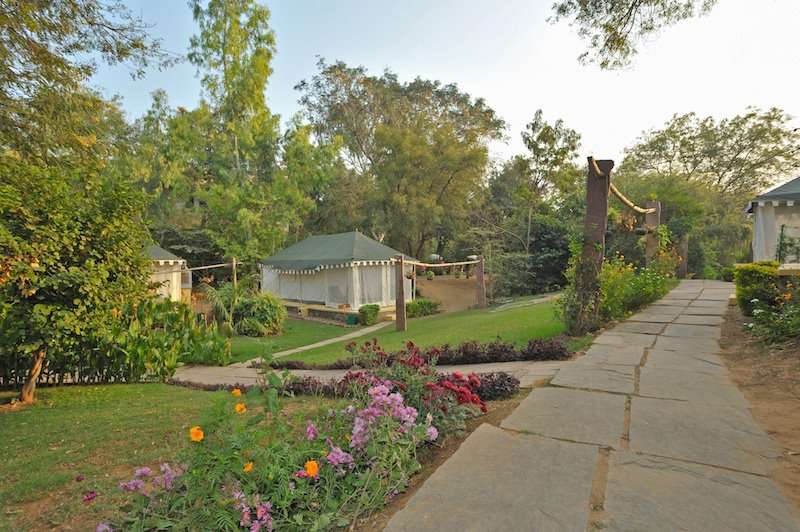 The Ranthambore Bagh