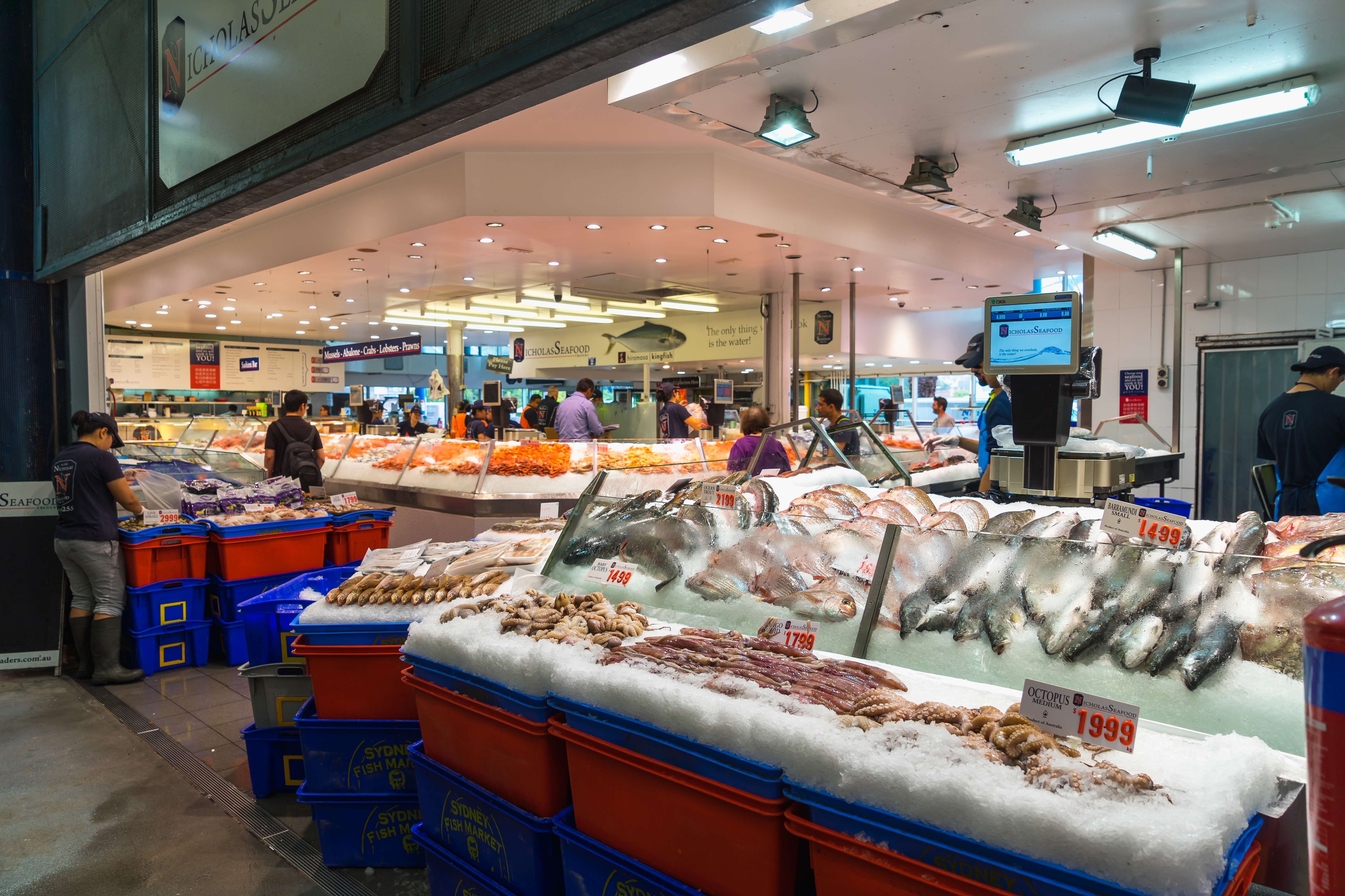 Sydney Fish Market