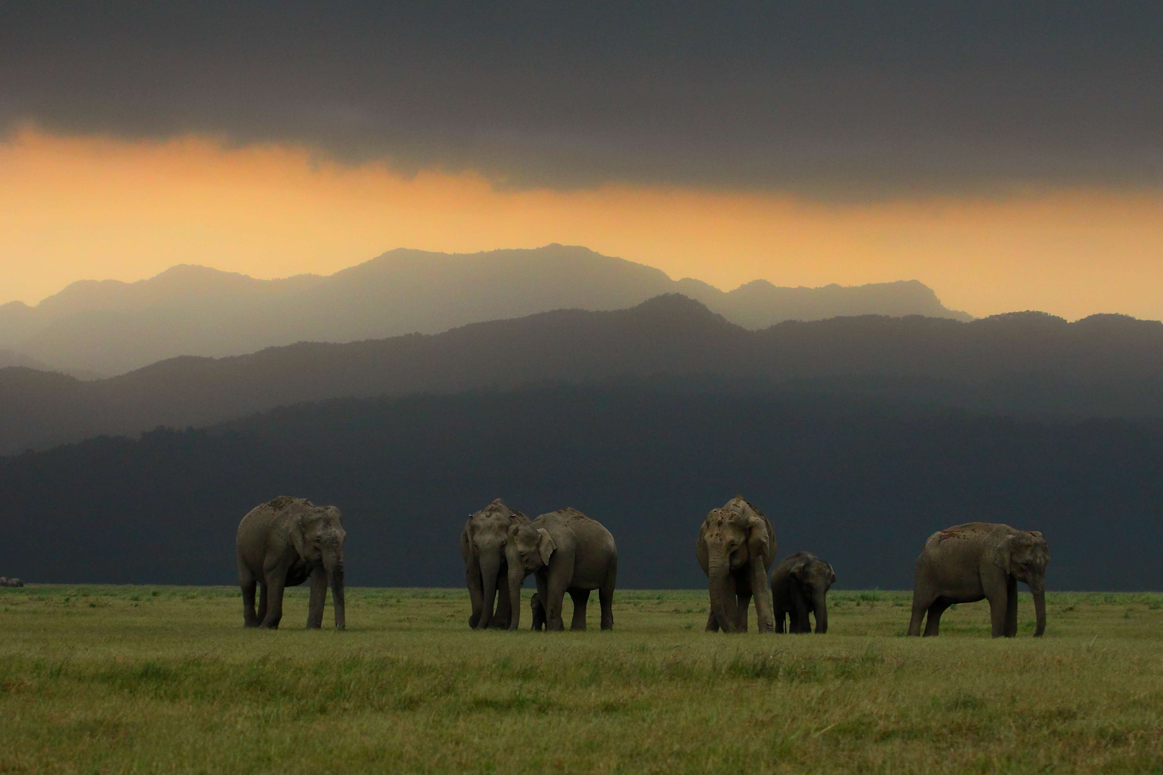 Resort Stay with Activities in Jim Corbett Flat 31% off