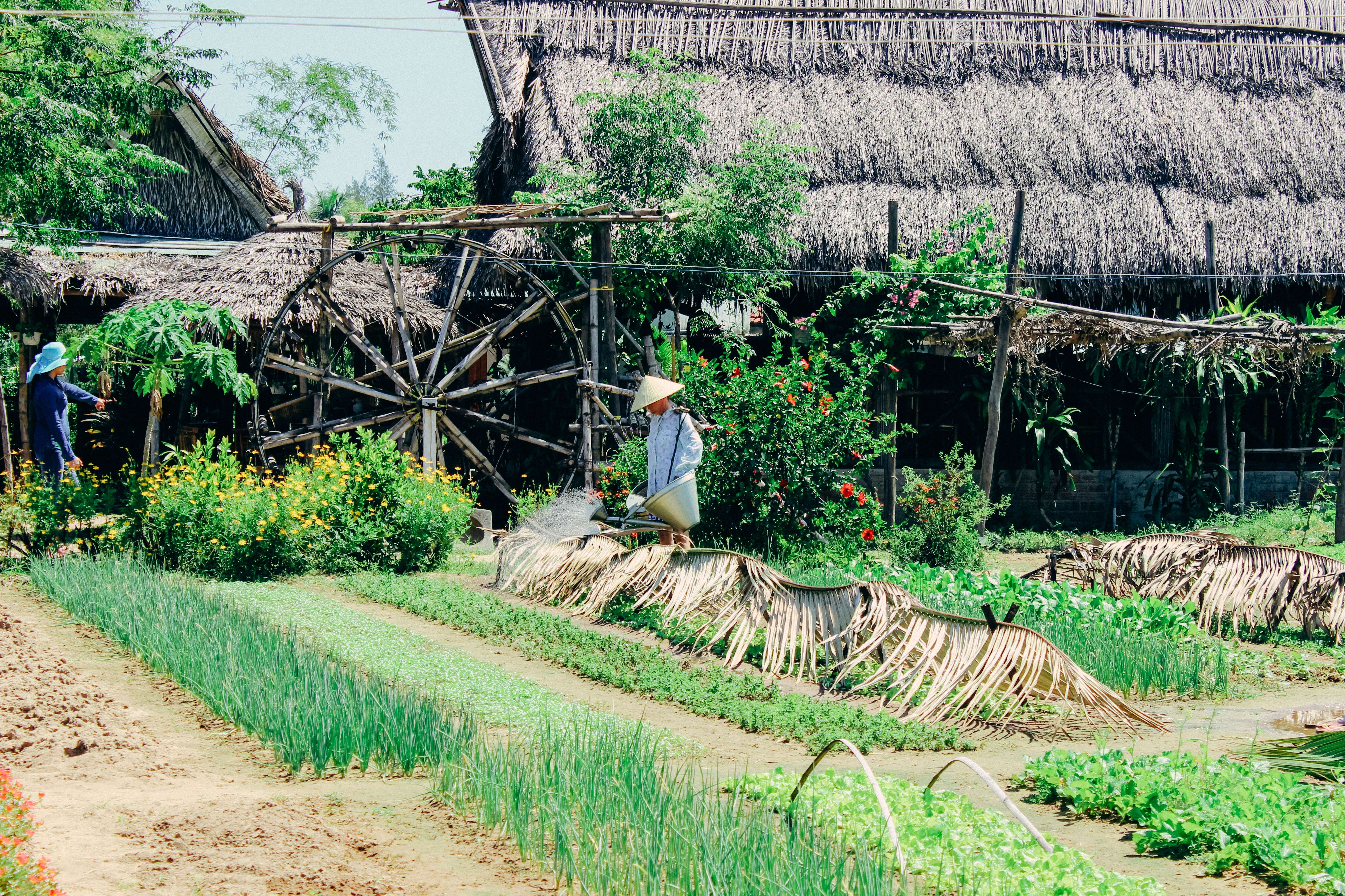 Explore Tra Que Vegetable Village