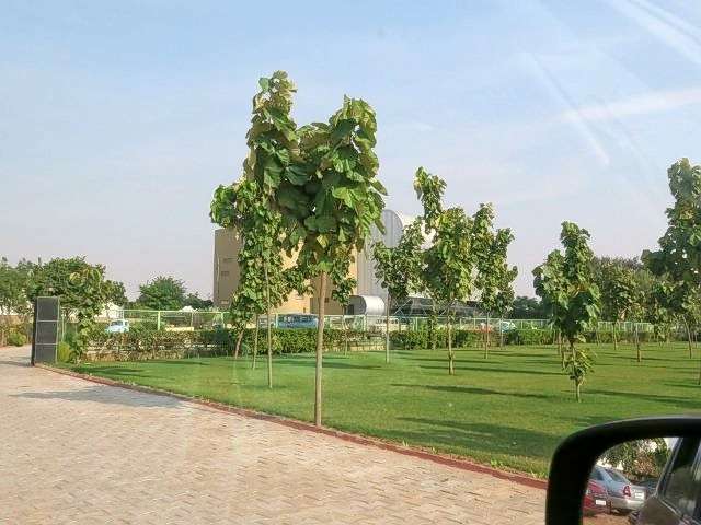 1468310311 m manesar1 veeresh malik.jpg