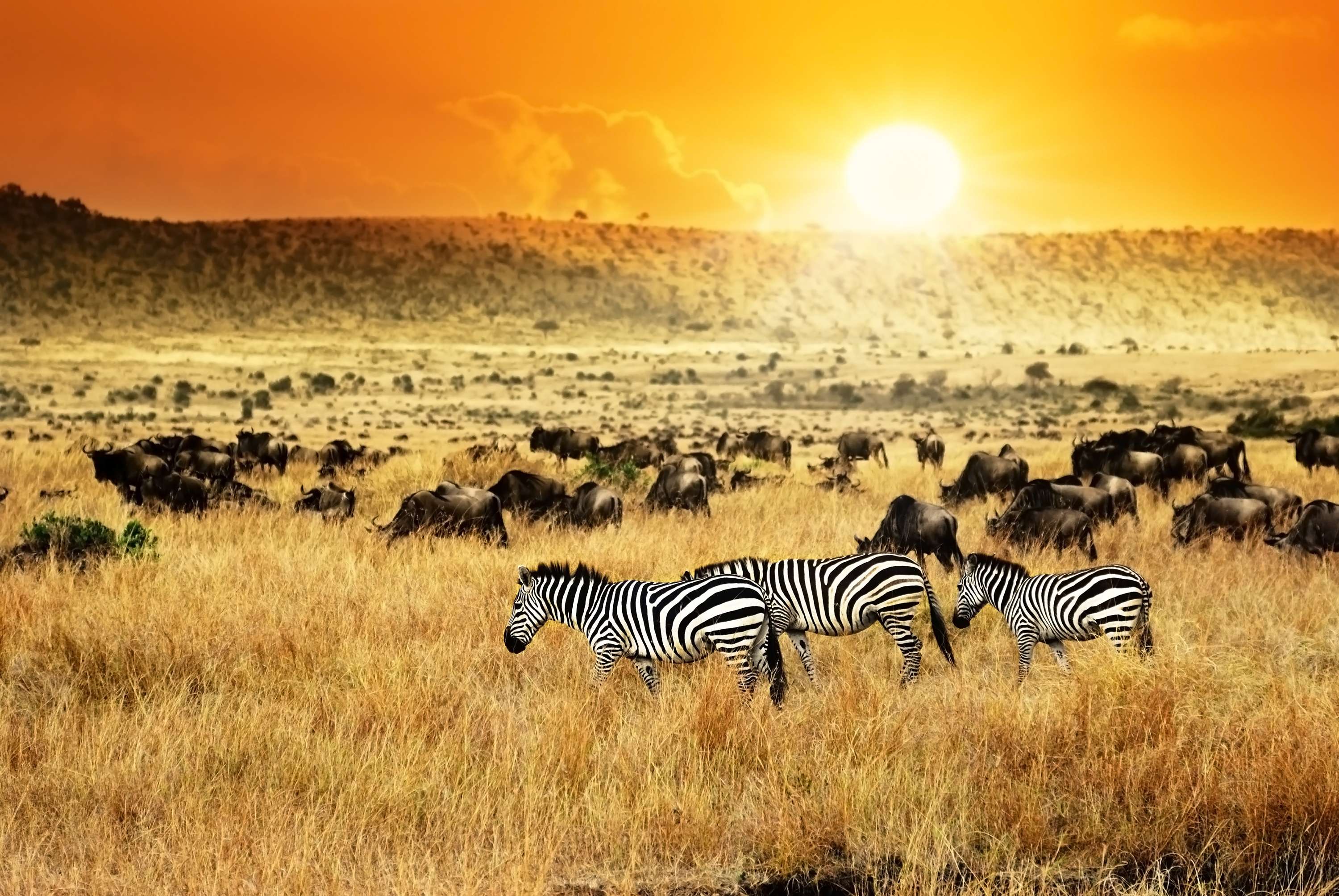 Visit the Lakes and Masai Mara Reserve in Nairobi