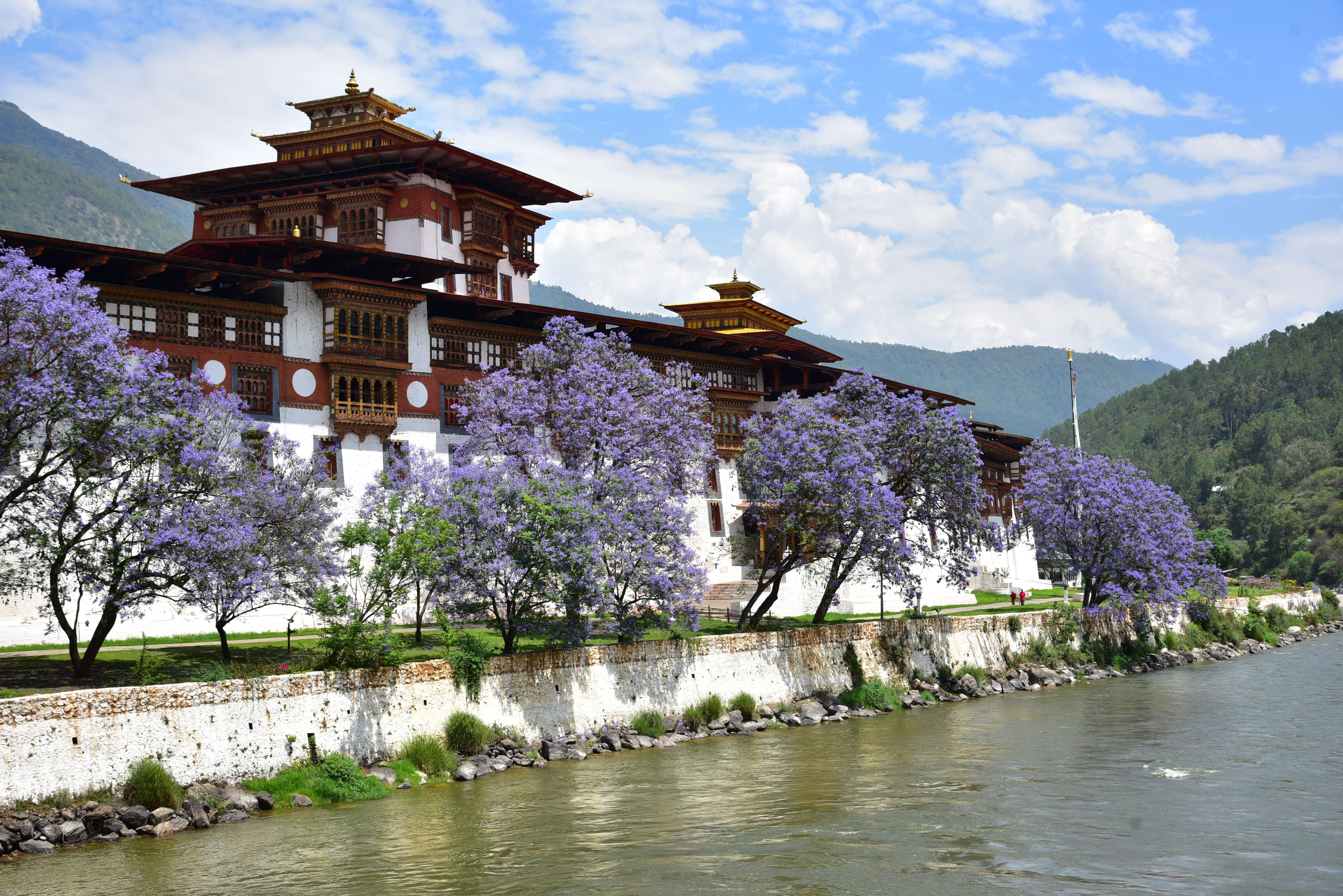 45 Things To Do in Bhutan {{year}} | Get Upto 20% Off