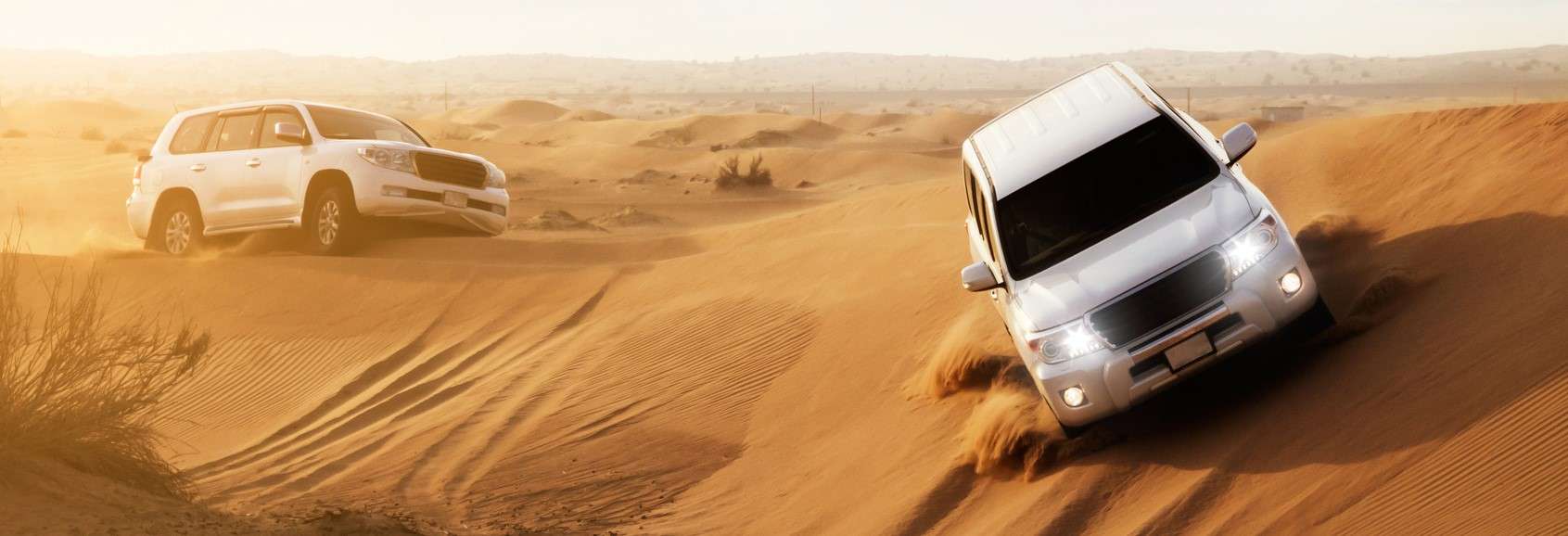20 Amazing Desert Experiences in Dubai | Book @ Upto 40% Off