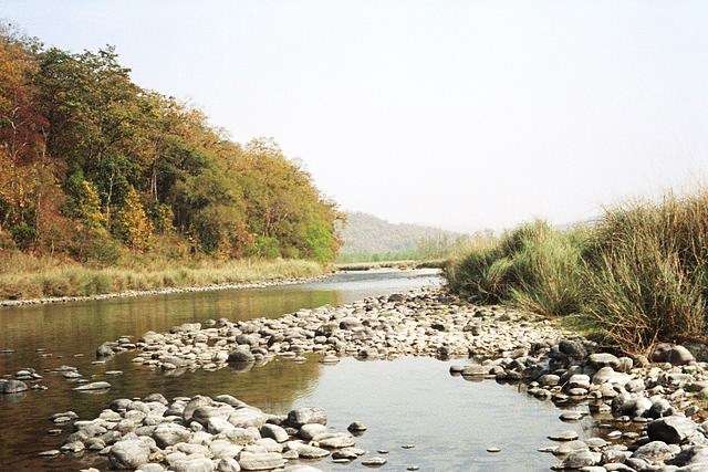 Corbett National Park, Uttarakhand