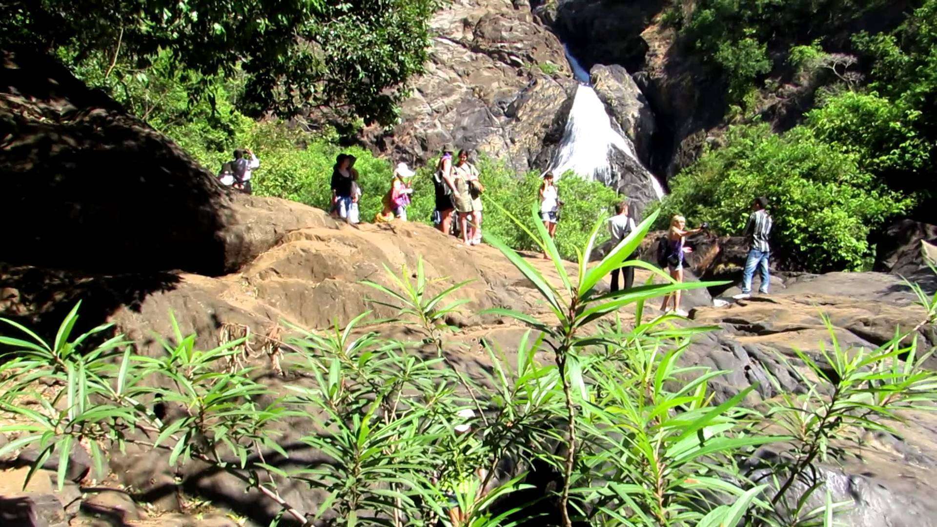 Mollem National Park Trekking