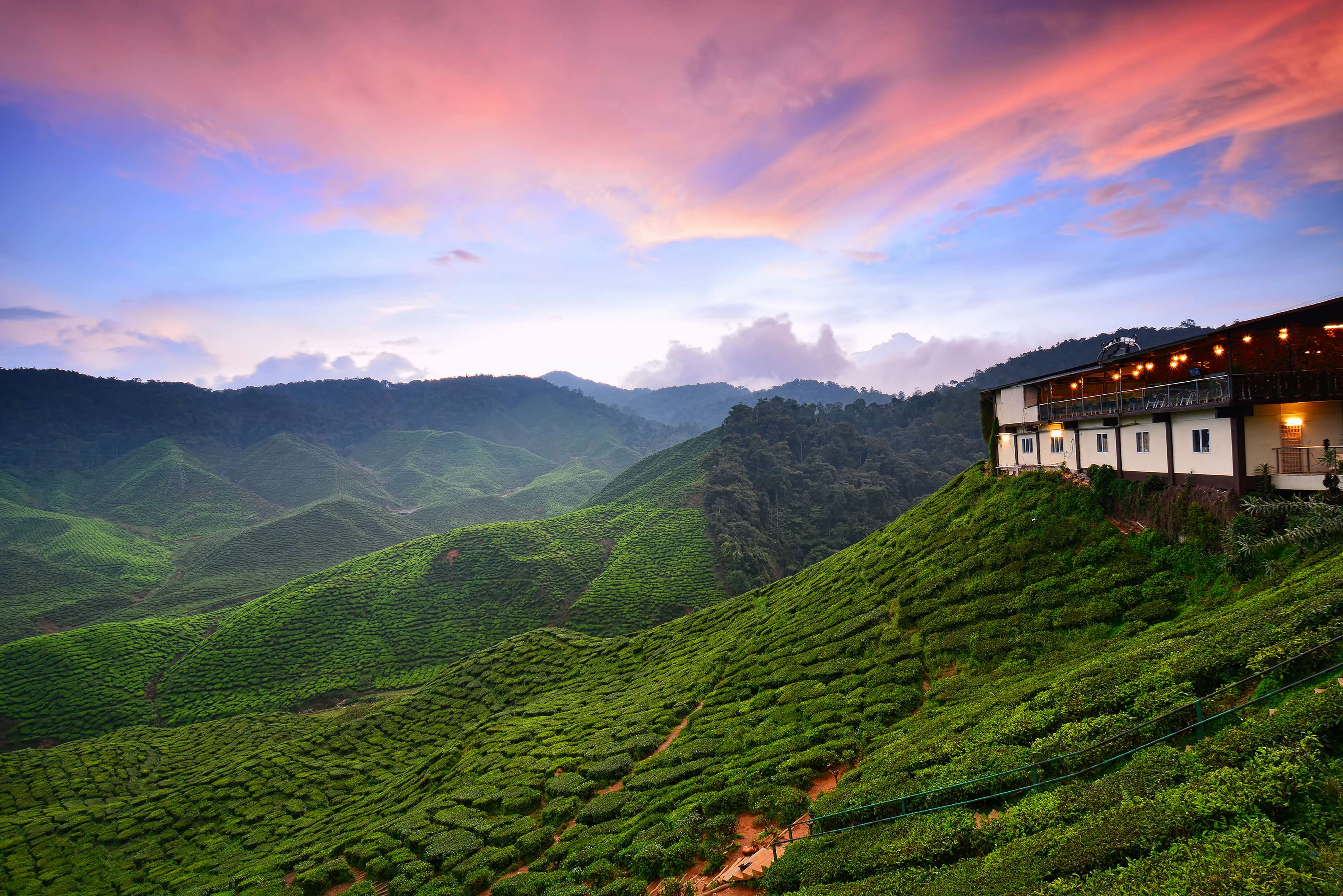 Visit to Cameron Highlands in Malaysia
