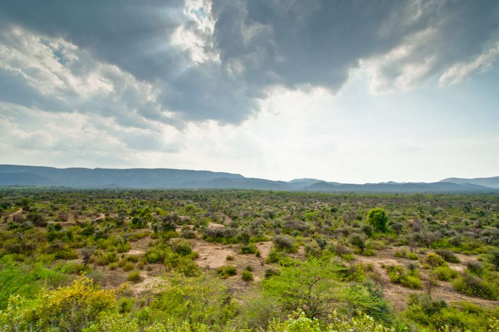 Sariska National Park