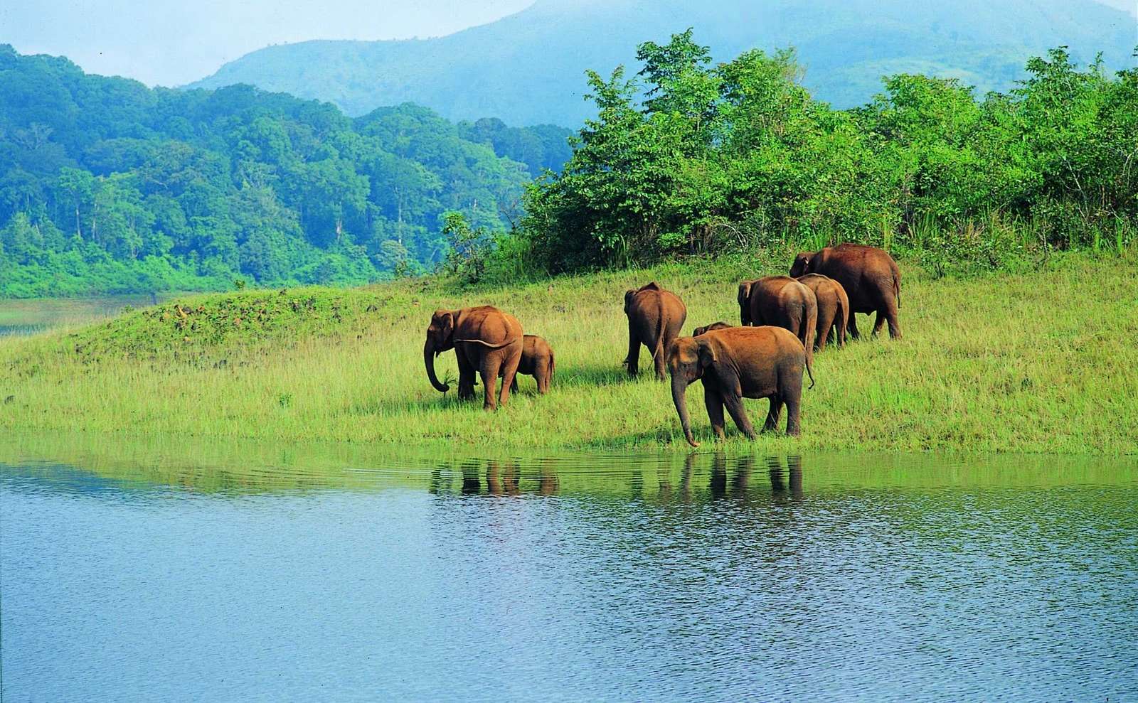 Chinnar Wildlife Sanctuary