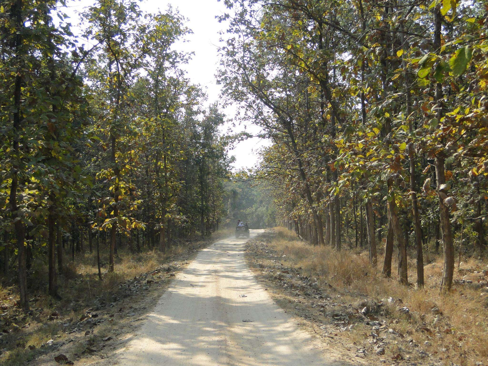 Pench National Park