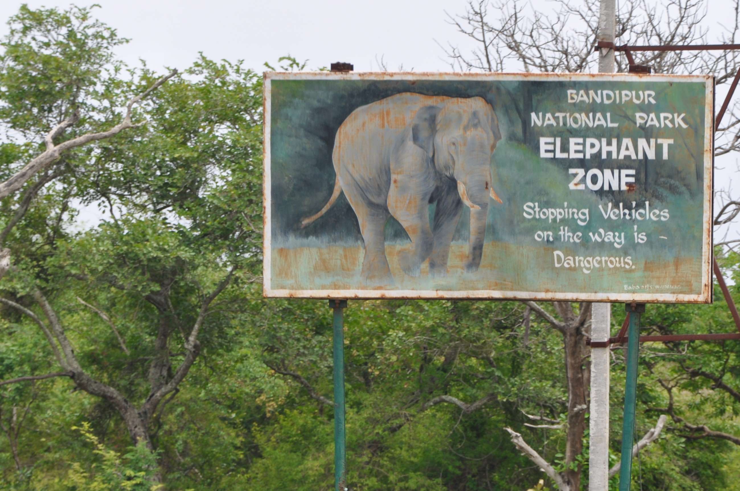 Bandipur National Park