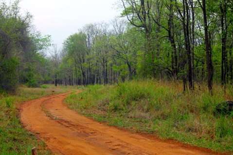 Satpura National Park, Madhya Pradesh
