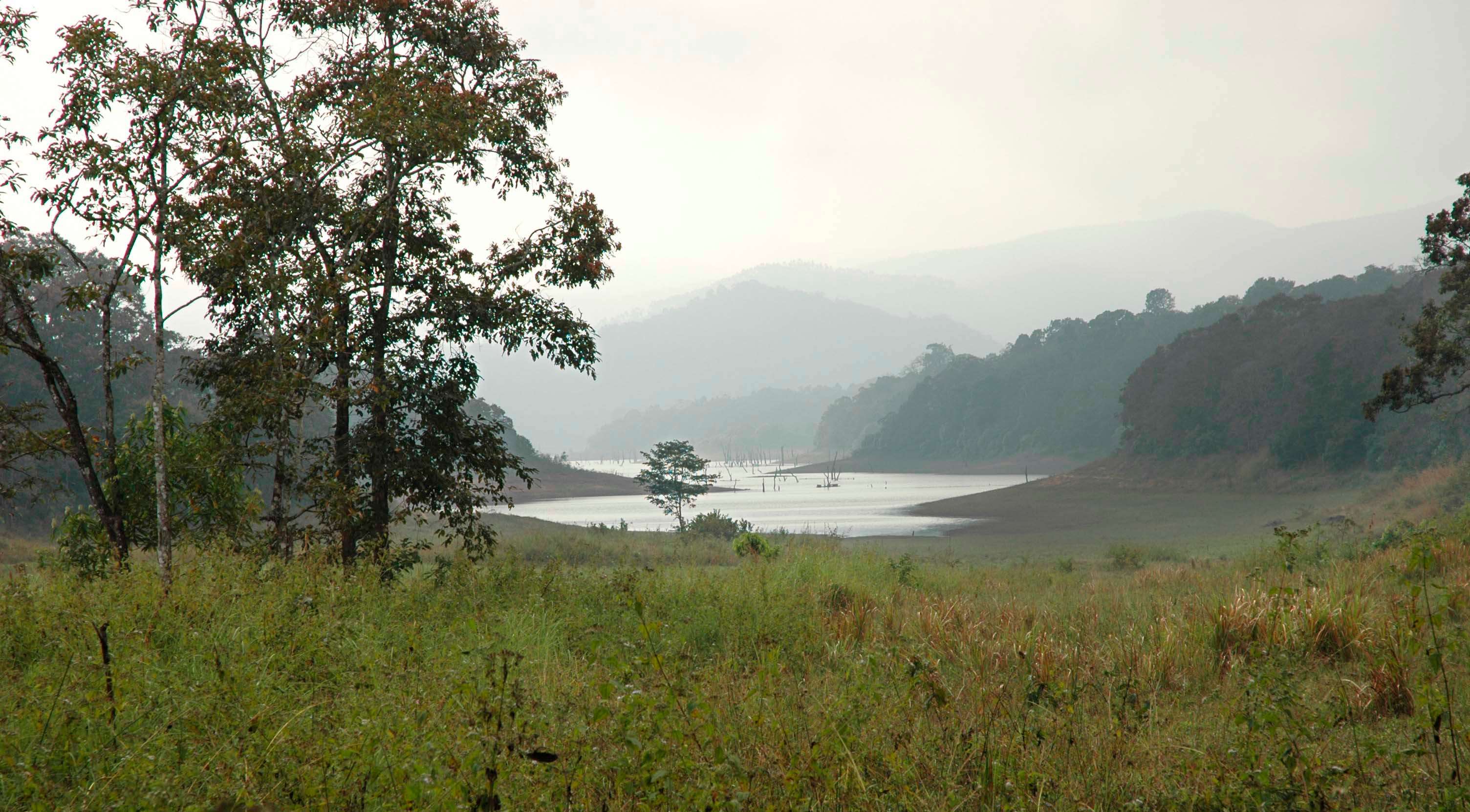 Periyar Tiger Reserve, Kerala