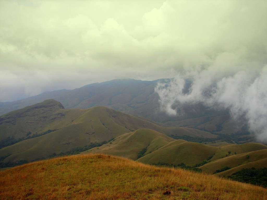 Adventure Team building Activities in Chikmagalur
