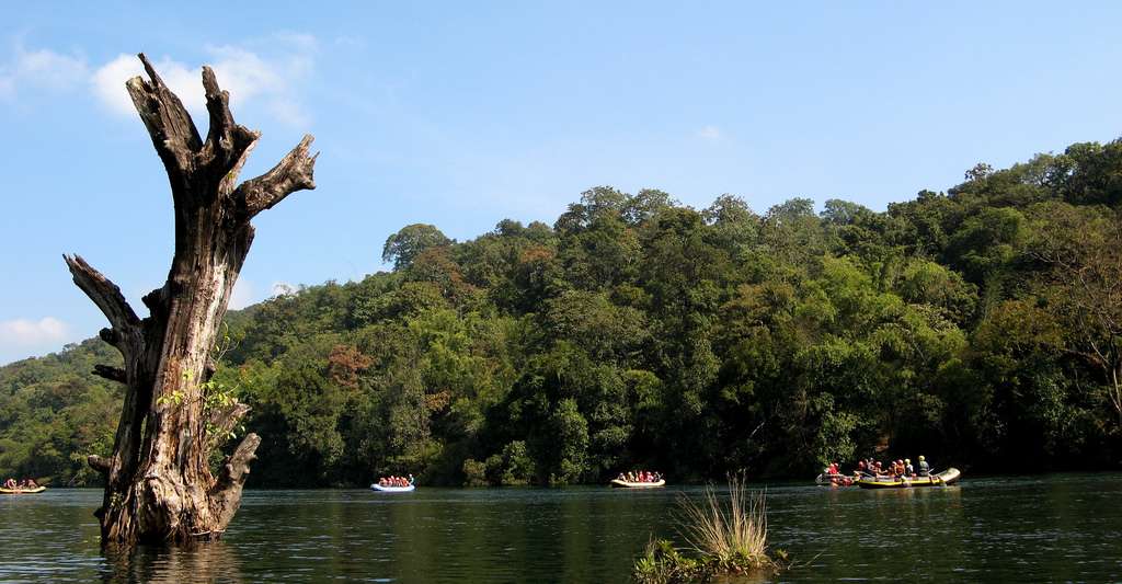 Team Building Through Adventure at Dandeli
