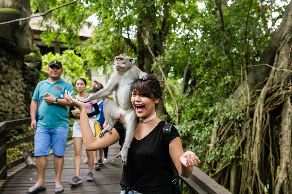 Visit Ubud Monkey Forest