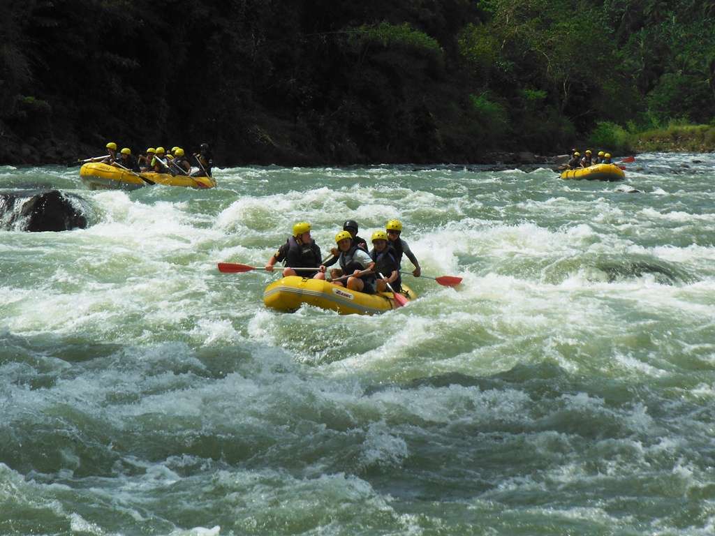 Experience the Thrill of White Water Rafting at Ayung River