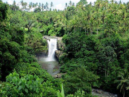 Ubud Tegenungan Waterfall