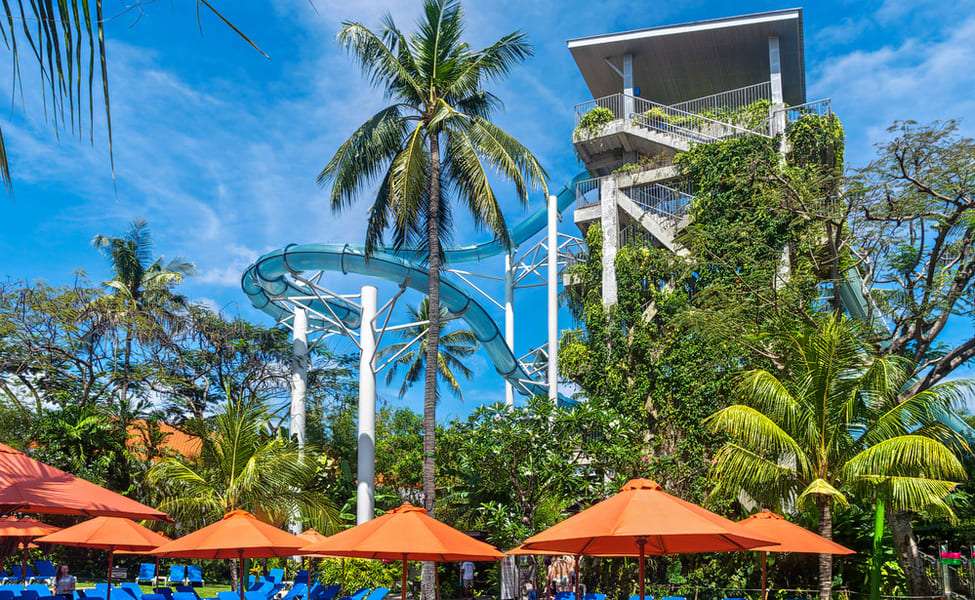 Experience Thrill at Waterbom