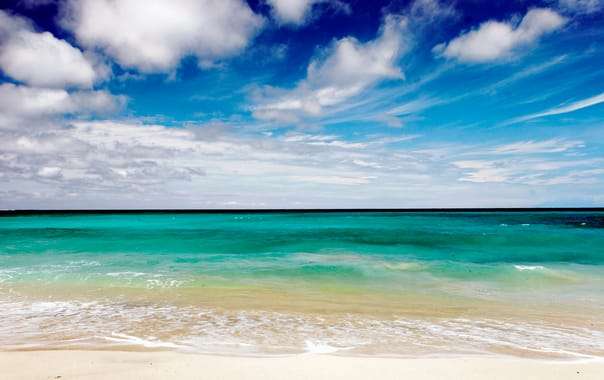 Relax at Surfers Paradise - Dreamland Beach