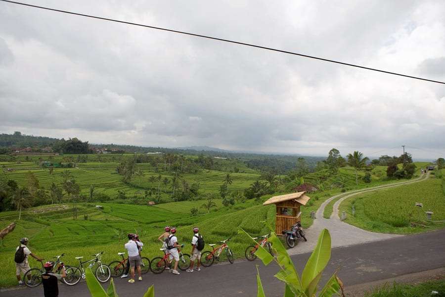 Kintamani Highland Cycling Tours