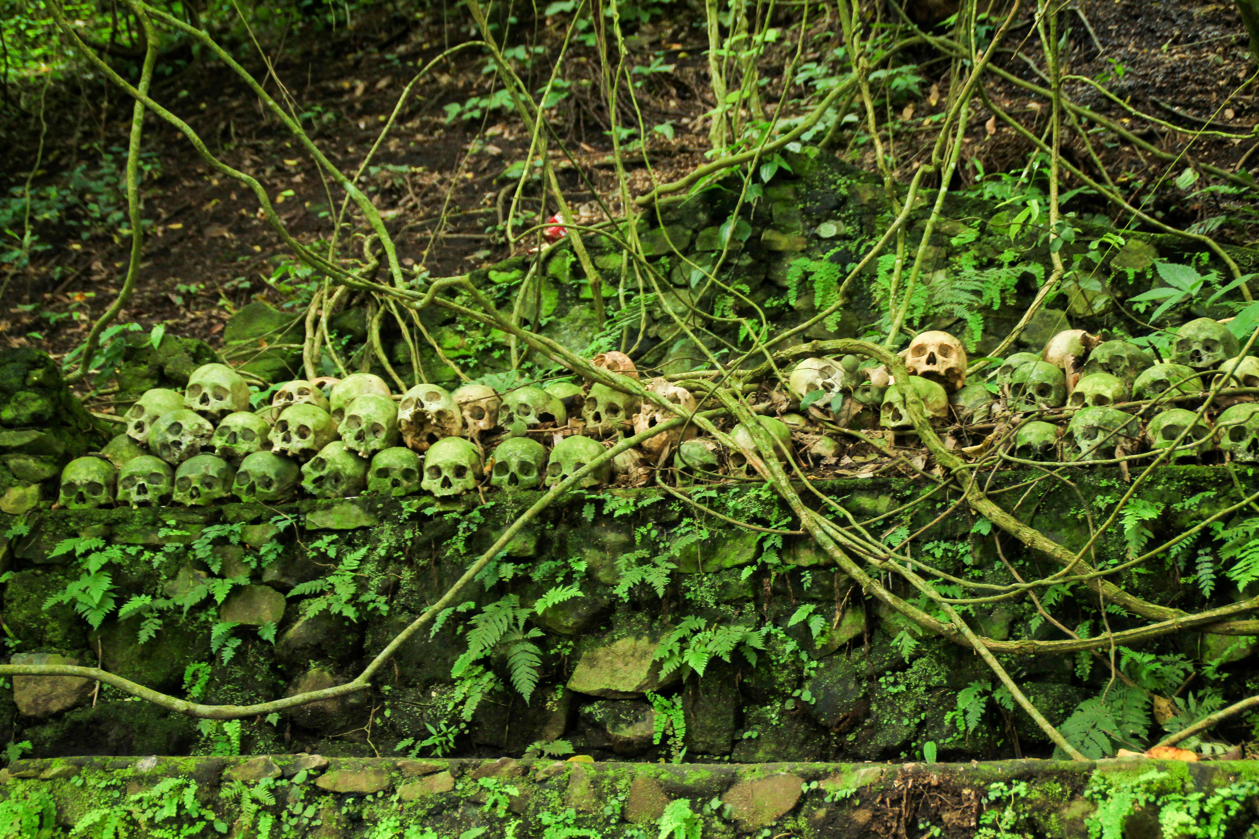 Visit Trunyan Village