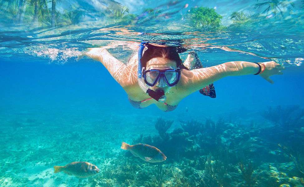 Explore the Aquatic World at Tanjung Benoa