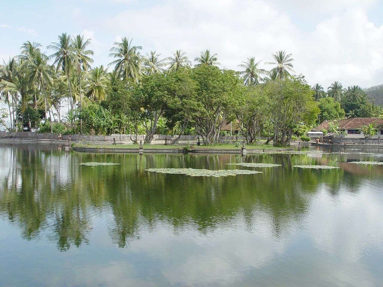 Witness Blushing Water at Lotus Lagoon