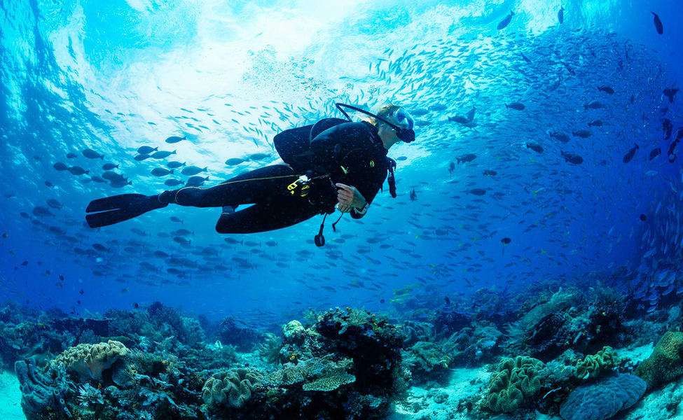 Experience Diving at Gili Tepekong