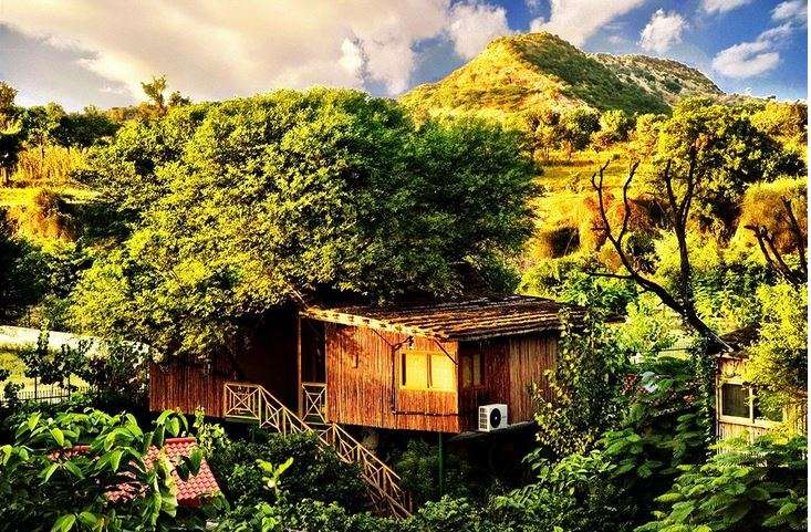 The Treehouse Resort
