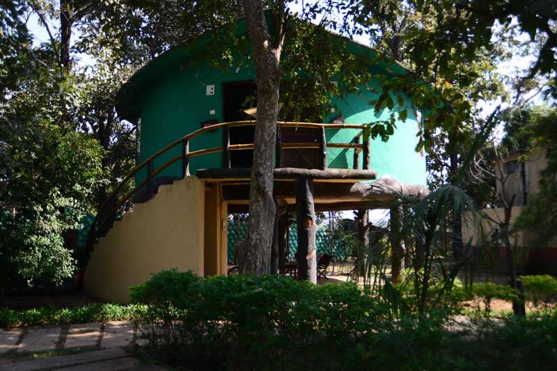 Tiger Wood Resort & Spa