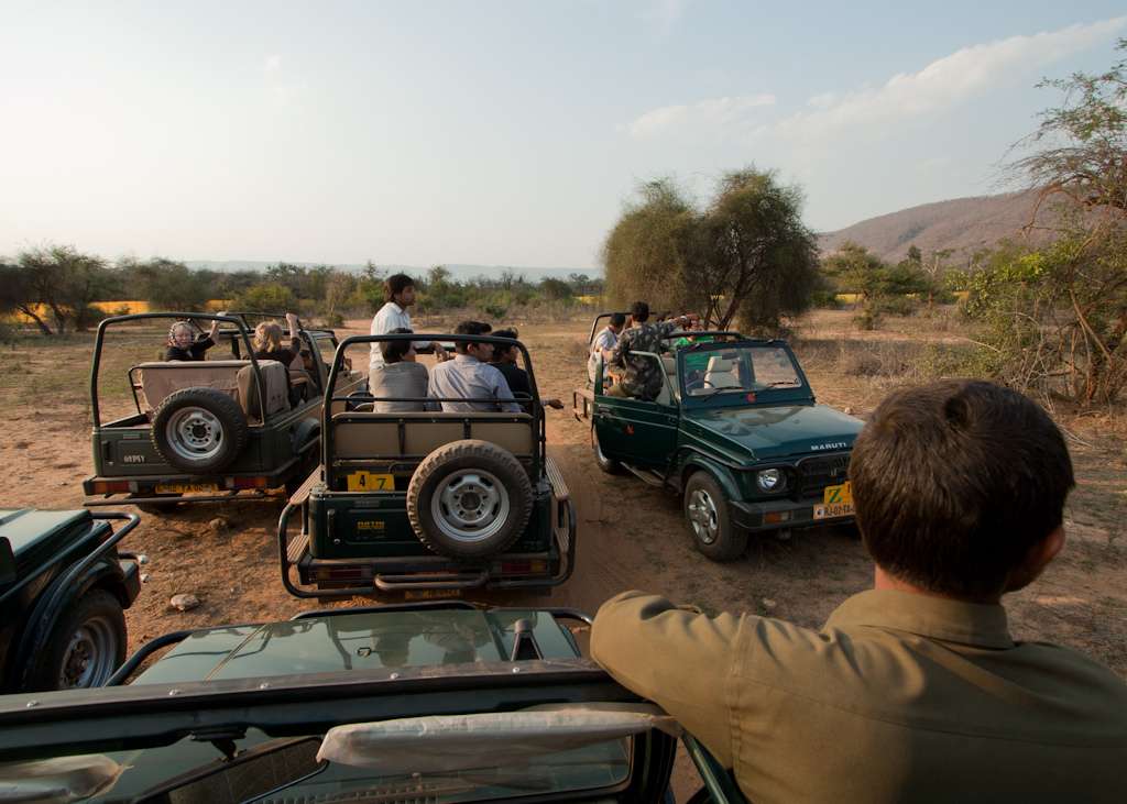 Best time to Visit Sariska National Park
