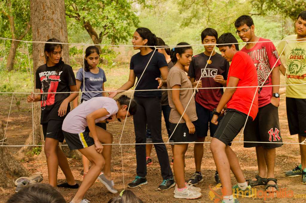  Cob Web Mystery at Exotica Resort