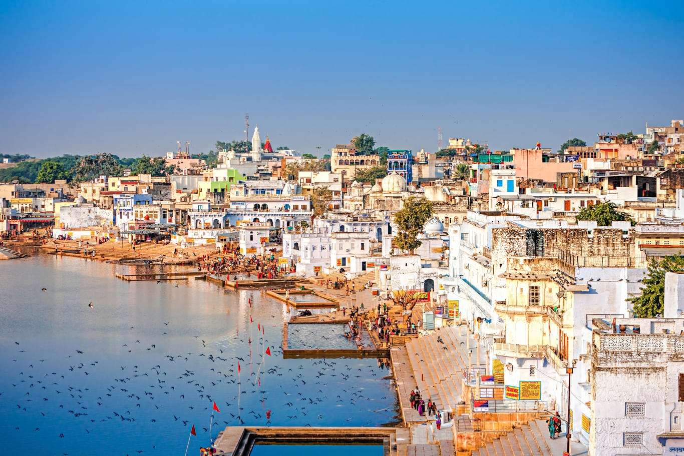 Top Attractions To Visit During Pushkar Camel Fair