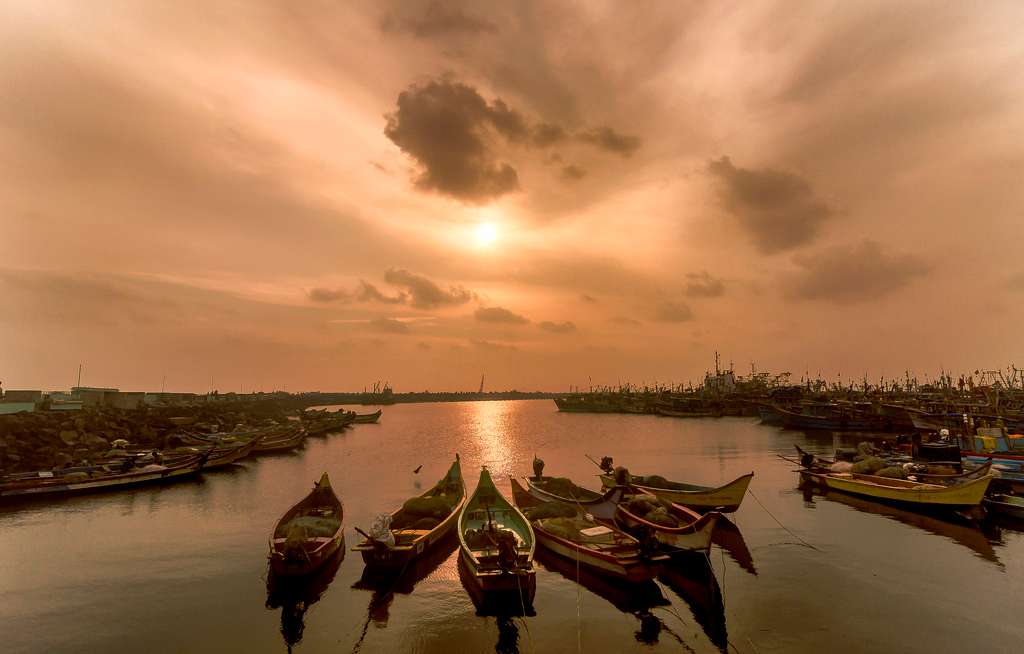 Royapuram Fishing Harbour