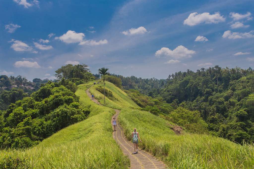 Types of other Indonesian Visas (Visa in Advance)