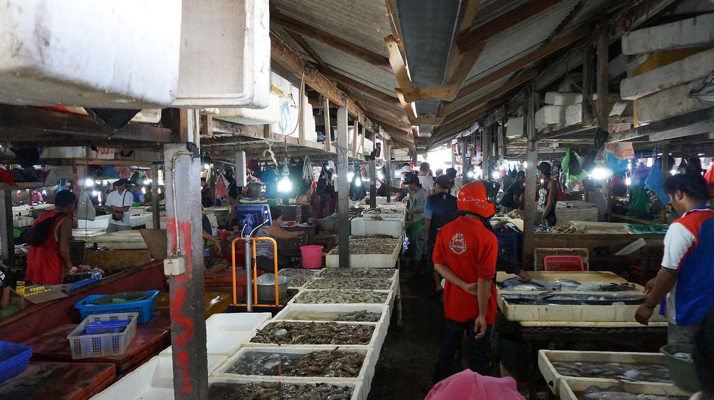 Night Market Exploration