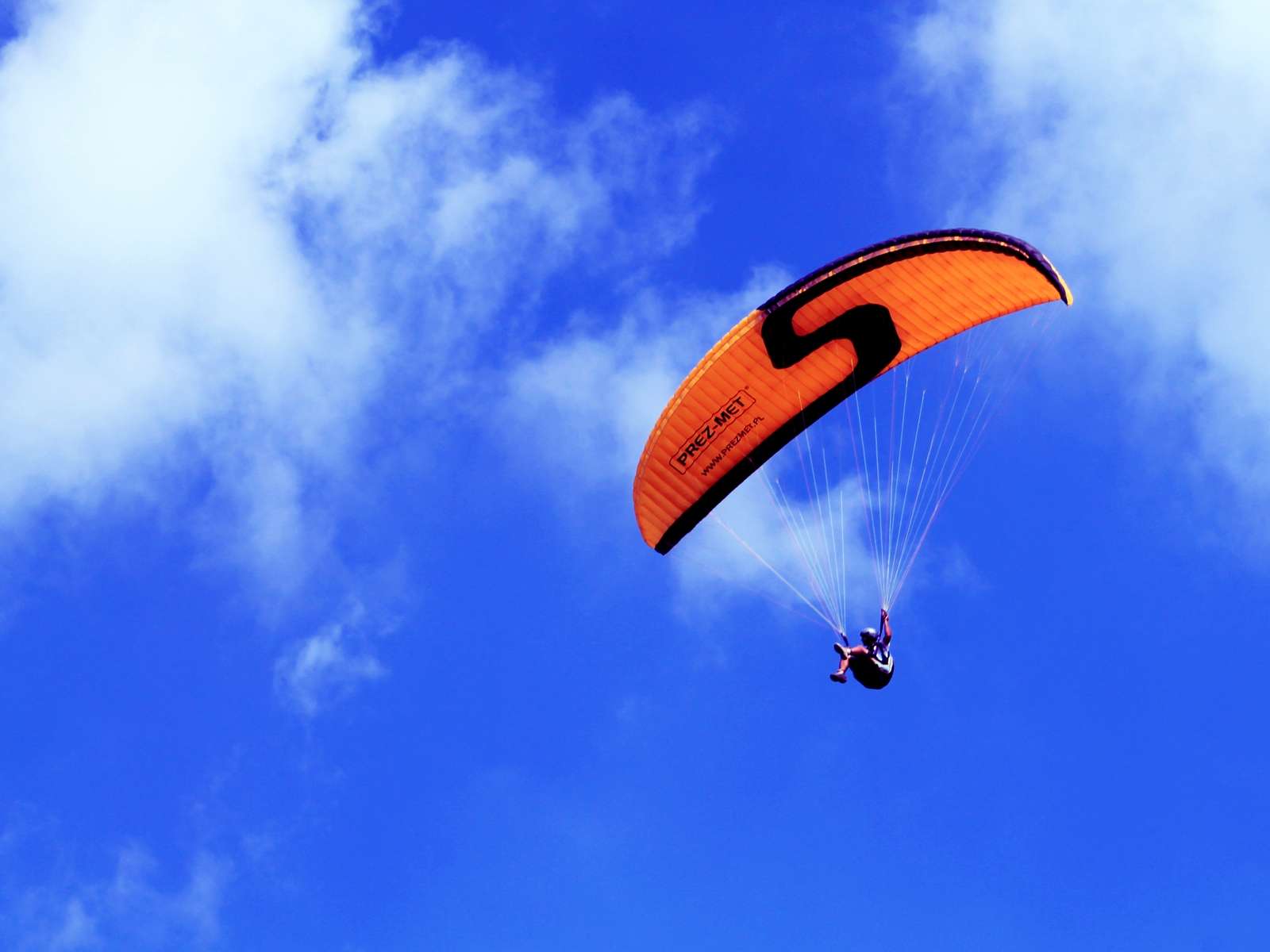 Up in the Air: Paragliding in Bir-billing from Delhi