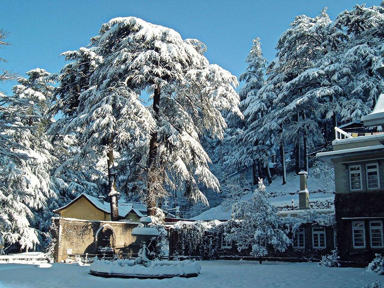 Shimla