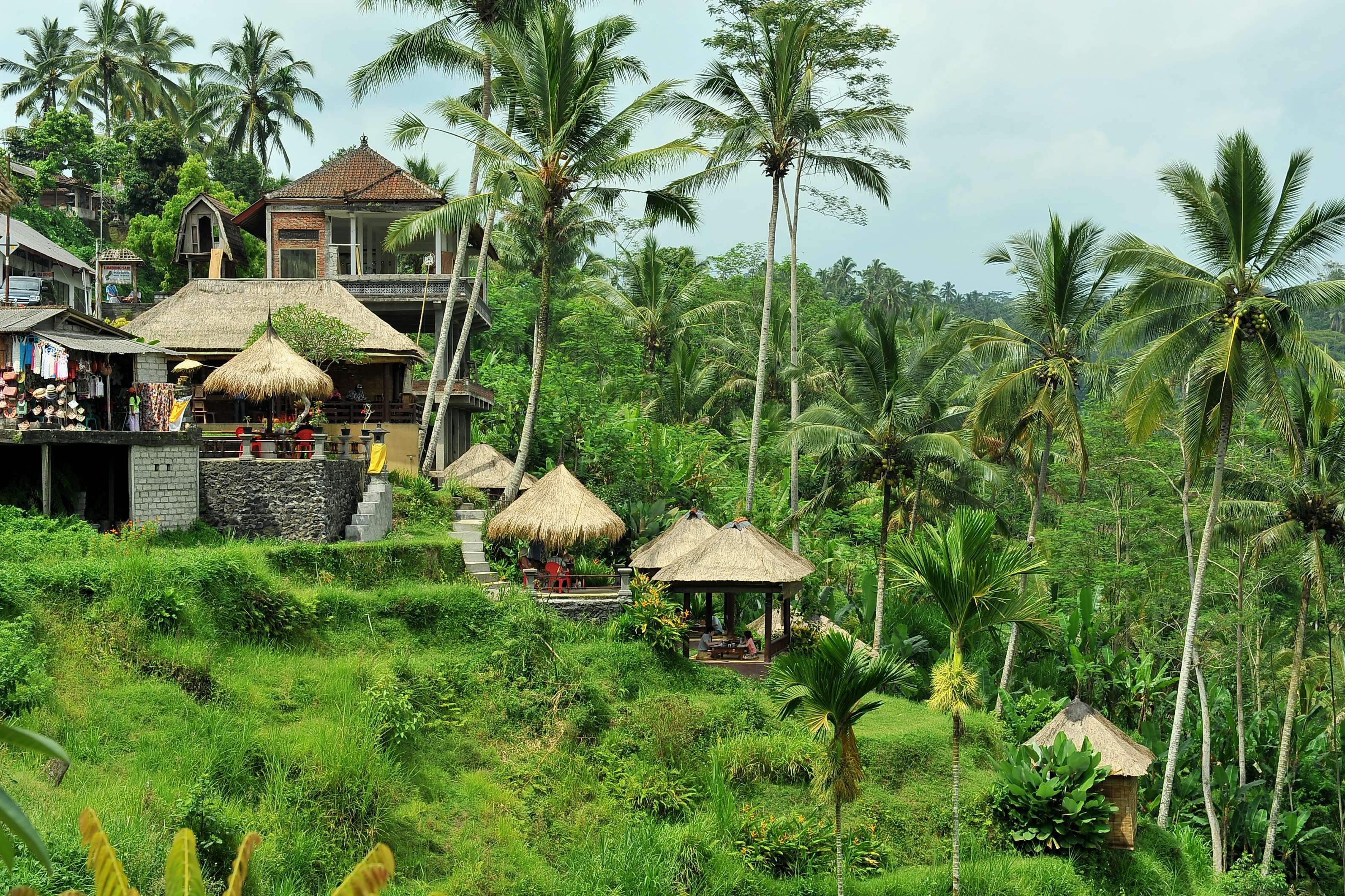 20 Best Day Tours in Ubud, Book Now @ Upto 30% Off