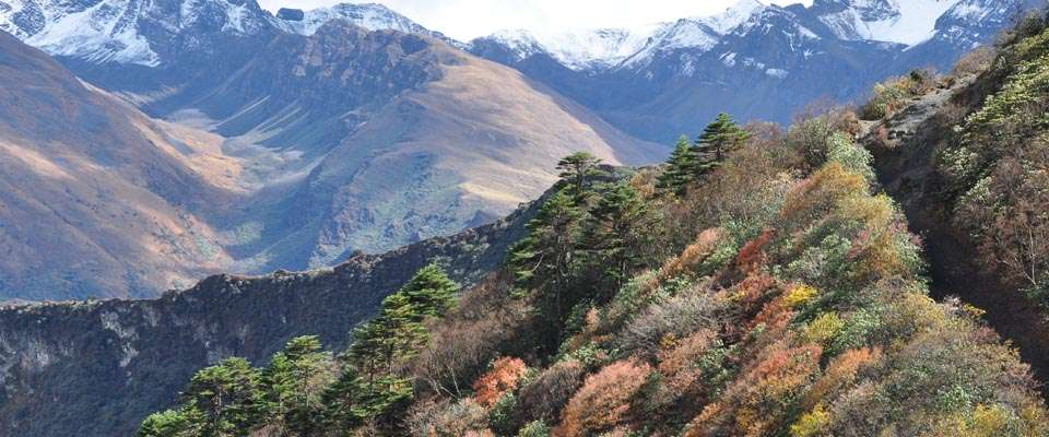 Duer Hot Springs Trek