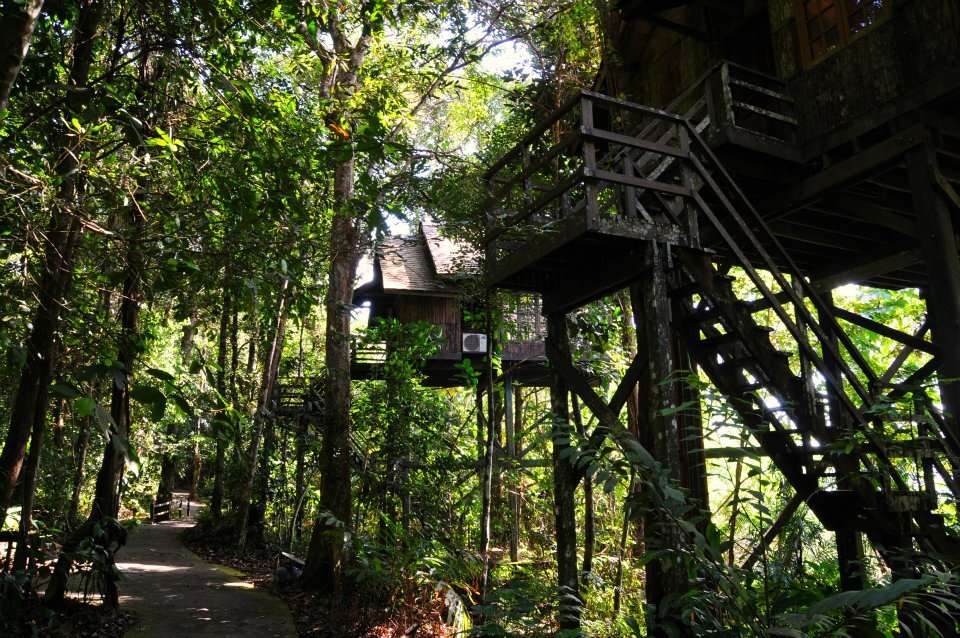 Permai Rainforest Resort
